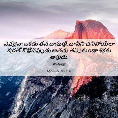 Picture 06 - నిర్గమకాండం 21:20 TELIRV - ఎవరైనా ఒకడు తన - Bible Verse Picture