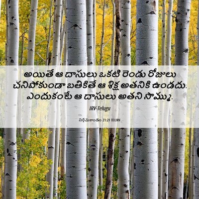 Picture 06 - నిర్గమకాండం 21:21 TELIRV - అయితే ఆ దాసులు - Bible Verse Picture