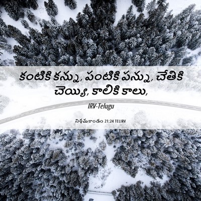 Picture 06 - నిర్గమకాండం 21:24 TELIRV - కంటికి కన్ను, - Bible Verse Picture