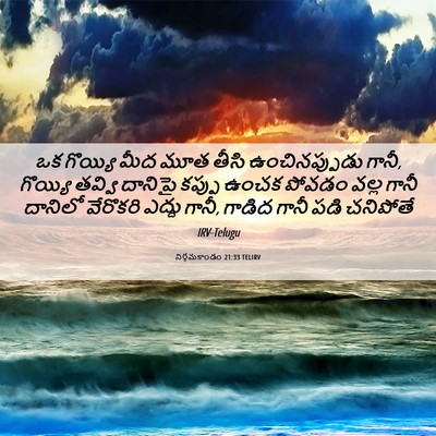 Picture 06 - నిర్గమకాండం 21:33 TELIRV - ఒక గొయ్యి మీద మూత - Bible Verse Picture