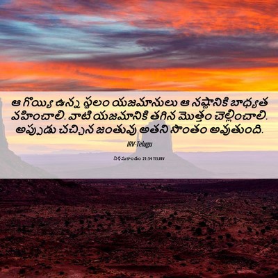 Picture 06 - నిర్గమకాండం 21:34 TELIRV - ఆ గొయ్యి ఉన్న - Bible Verse Picture