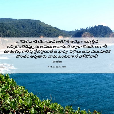 Picture 06 - నిర్గమకాండం 21:4 TELIRV - ఒకవేళ వాడి యజమాని - Bible Verse Picture