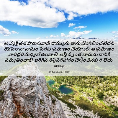 Picture 06 - నిర్గమకాండం 22:11 TELIRV - అ వ్యక్తి తన - Bible Verse Picture