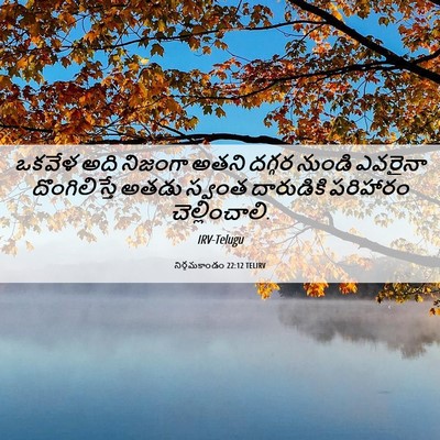 Picture 06 - నిర్గమకాండం 22:12 TELIRV - ఒకవేళ అది నిజంగా - Bible Verse Picture