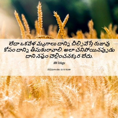 Picture 06 - నిర్గమకాండం 22:13 TELIRV - లేదా ఒకవేళ మృగాలు - Bible Verse Picture