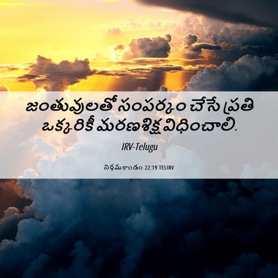 Picture 06 - నిర్గమకాండం 22:19 TELIRV - జంతువులతో సంపర్కం - Bible Verse Picture