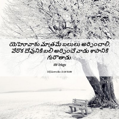 Picture 06 - నిర్గమకాండం 22:20 TELIRV - యెహోవాకు మాత్రమే - Bible Verse Picture