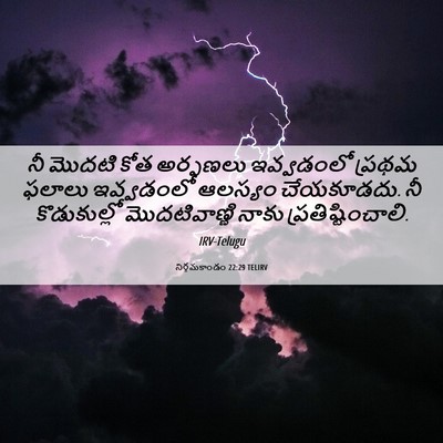 Picture 06 - నిర్గమకాండం 22:29 TELIRV - నీ మొదటి కోత - Bible Verse Picture