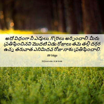 Picture 06 - నిర్గమకాండం 22:30 TELIRV - అదే విధంగా నీ - Bible Verse Picture