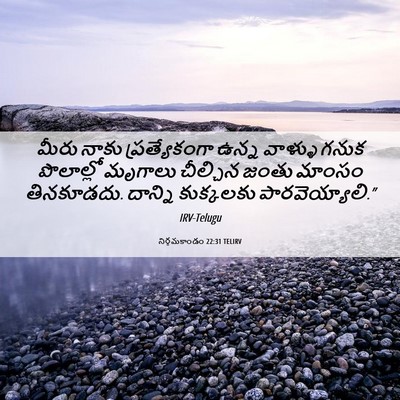 Picture 06 - నిర్గమకాండం 22:31 TELIRV - మీరు నాకు - Bible Verse Picture