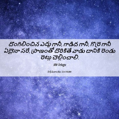 Picture 06 - నిర్గమకాండం 22:4 TELIRV - దొంగిలించిన ఎద్దు - Bible Verse Picture