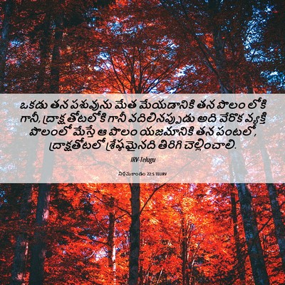 Picture 06 - నిర్గమకాండం 22:5 TELIRV - ఒకడు తన పశువును - Bible Verse Picture