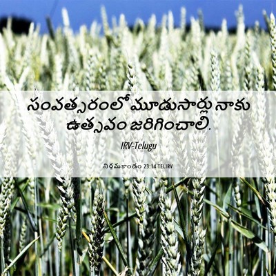Picture 06 - నిర్గమకాండం 23:14 TELIRV - సంవత్సరంలో - Bible Verse Picture