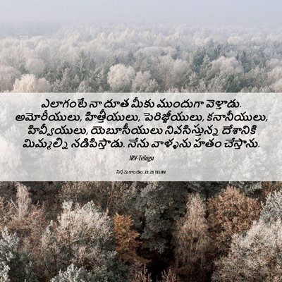 Picture 06 - నిర్గమకాండం 23:23 TELIRV - ఎలాగంటే నా దూత - Bible Verse Picture