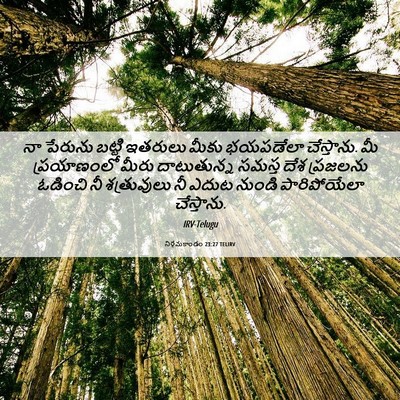 Picture 06 - నిర్గమకాండం 23:27 TELIRV - నా పేరును బట్టి - Bible Verse Picture