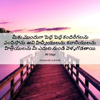 Picture 06 - నిర్గమకాండం 23:28 TELIRV - మీకు ముందుగా - Bible Verse Picture