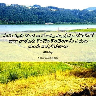Picture 06 - నిర్గమకాండం 23:30 TELIRV - మీరు వృద్ధి చెంది - Bible Verse Picture