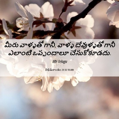 Picture 06 - నిర్గమకాండం 23:32 TELIRV - మీరు వాళ్ళతో గానీ, - Bible Verse Picture