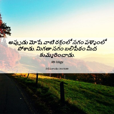 Picture 06 - నిర్గమకాండం 24:6 TELIRV - అప్పుడు మోషే వాటి - Bible Verse Picture