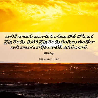 Picture 06 - నిర్గమకాండం 25:12 TELIRV - దానికి నాలుగు - Bible Verse Picture
