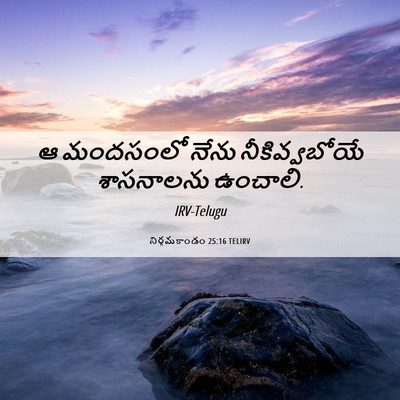 Picture 06 - నిర్గమకాండం 25:16 TELIRV - ఆ మందసంలో నేను - Bible Verse Picture
