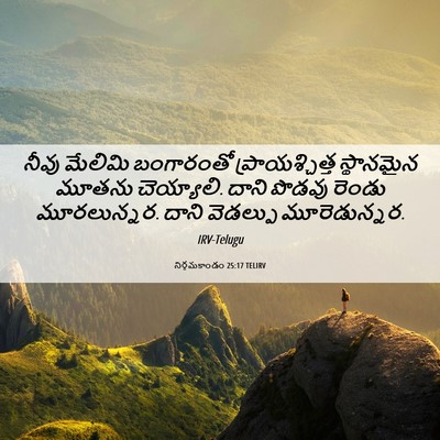 Picture 06 - నిర్గమకాండం 25:17 TELIRV - నీవు మేలిమి - Bible Verse Picture