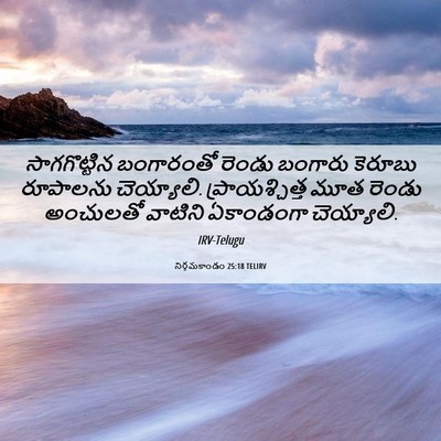 Picture 06 - నిర్గమకాండం 25:18 TELIRV - సాగగొట్టిన - Bible Verse Picture