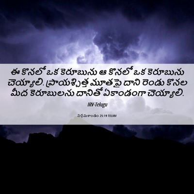 Picture 06 - నిర్గమకాండం 25:19 TELIRV - ఈ కొనలో ఒక - Bible Verse Picture
