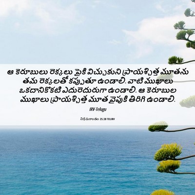 Picture 06 - నిర్గమకాండం 25:20 TELIRV - ఆ కెరూబులు - Bible Verse Picture