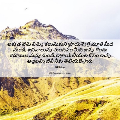Picture 06 - నిర్గమకాండం 25:22 TELIRV - అక్కడ నేను నిన్ను - Bible Verse Picture