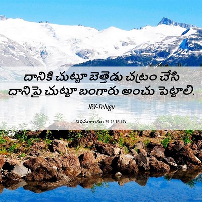 Picture 06 - నిర్గమకాండం 25:25 TELIRV - దానికి చుట్టూ - Bible Verse Picture