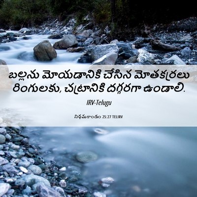 Picture 06 - నిర్గమకాండం 25:27 TELIRV - బల్లను మోయడానికి - Bible Verse Picture