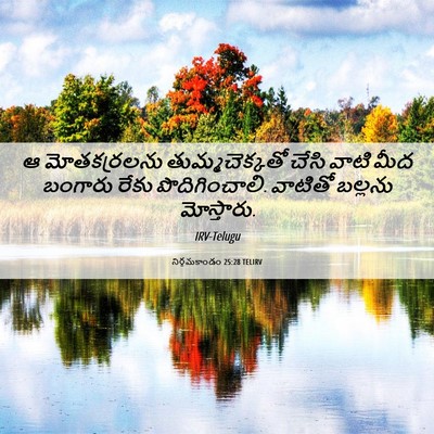 Picture 06 - నిర్గమకాండం 25:28 TELIRV - ఆ మోతకర్రలను - Bible Verse Picture