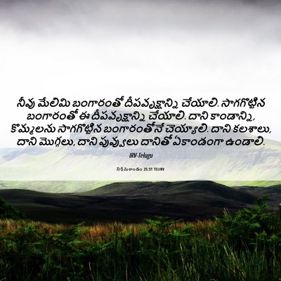Picture 06 - నిర్గమకాండం 25:31 TELIRV - నీవు మేలిమి - Bible Verse Picture