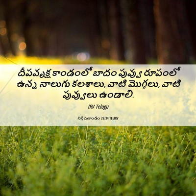 Picture 06 - నిర్గమకాండం 25:34 TELIRV - దీపవృక్ష కాండంలో - Bible Verse Picture