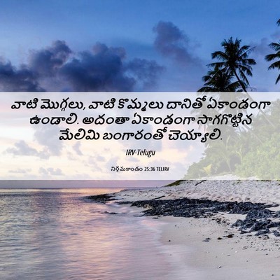 Picture 06 - నిర్గమకాండం 25:36 TELIRV - వాటి మొగ్గలు, వాటి - Bible Verse Picture