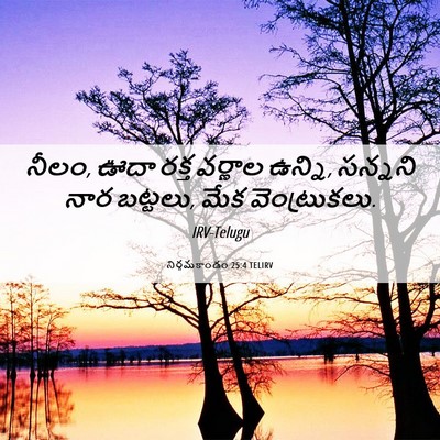 Picture 06 - నిర్గమకాండం 25:4 TELIRV - నీలం, ఊదా రక్త - Bible Verse Picture