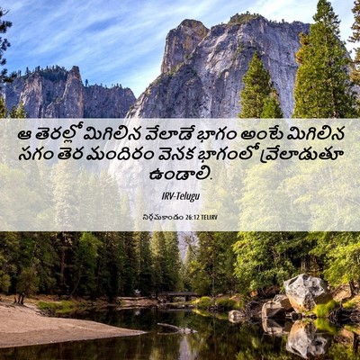 Picture 06 - నిర్గమకాండం 26:12 TELIRV - ఆ తెరల్లో మిగిలిన - Bible Verse Picture