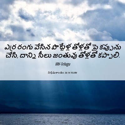 Picture 06 - నిర్గమకాండం 26:14 TELIRV - ఎర్ర రంగు వేసిన - Bible Verse Picture