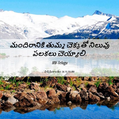 Picture 06 - నిర్గమకాండం 26:15 TELIRV - మందిరానికి తుమ్మ - Bible Verse Picture