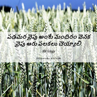 Picture 06 - నిర్గమకాండం 26:22 TELIRV - పడమర వైపు అంటే - Bible Verse Picture