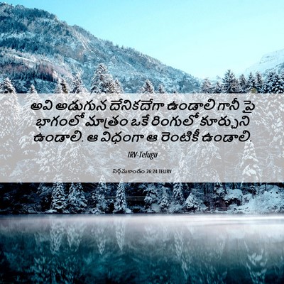 Picture 06 - నిర్గమకాండం 26:24 TELIRV - అవి అడుగున - Bible Verse Picture