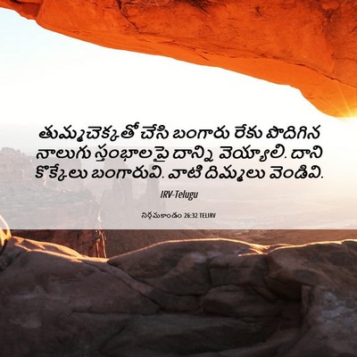 Picture 06 - నిర్గమకాండం 26:32 TELIRV - తుమ్మచెక్కతో చేసి - Bible Verse Picture