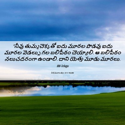 Picture 06 - నిర్గమకాండం 27:1 TELIRV - “నీవు - Bible Verse Picture