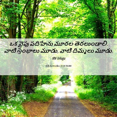 Picture 06 - నిర్గమకాండం 27:14 TELIRV - ఒక వైపు పదిహేను - Bible Verse Picture