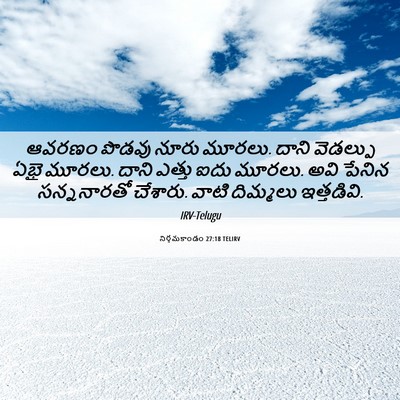 Picture 06 - నిర్గమకాండం 27:18 TELIRV - ఆవరణం పొడవు నూరు - Bible Verse Picture