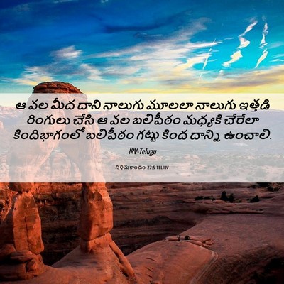 Picture 06 - నిర్గమకాండం 27:5 TELIRV - ఆ వల మీద దాని - Bible Verse Picture