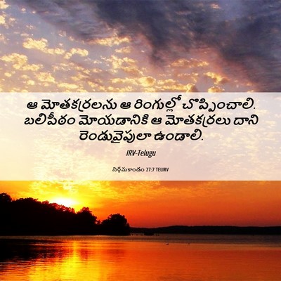 Picture 06 - నిర్గమకాండం 27:7 TELIRV - ఆ మోతకర్రలను ఆ - Bible Verse Picture