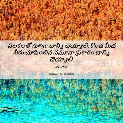 Picture 06 - నిర్గమకాండం 27:8 TELIRV - పలకలతో గుల్లగా - Bible Verse Picture