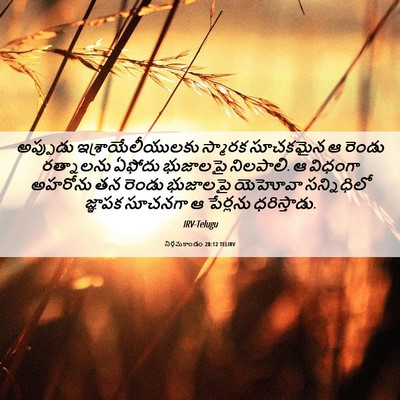 Picture 06 - నిర్గమకాండం 28:12 TELIRV - అప్పుడు - Bible Verse Picture